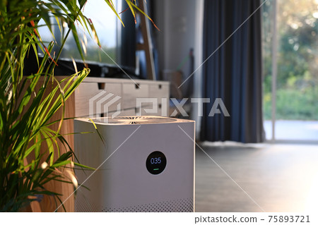 Air purifier with digital monitor screen and house plant in living room for fresh air and healthy life. 75893721