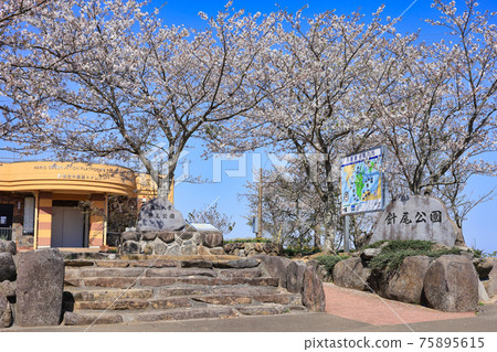 Hario Park in Spring Hario Park in Spring 75895615
