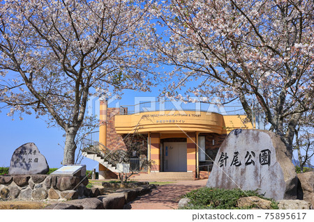 春天的哈里奧公園 75895617