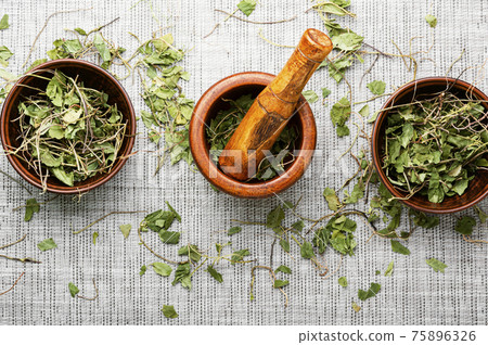 Mortar with healing herbs,orthilia secunda 75896326