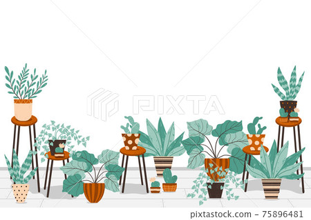 Cute potted houseplant in Scandinavian style. House interior decor elements with flowers and cactus in flowerpots. Horizontal vector banner with different plants in pots and place for text. 75896481