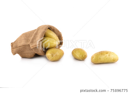 potato isolated on a white background potato isolated on a white background 75896775