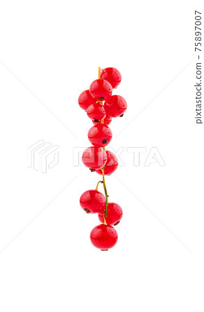 Red currant fruit closeup isolated on white background 75897007
