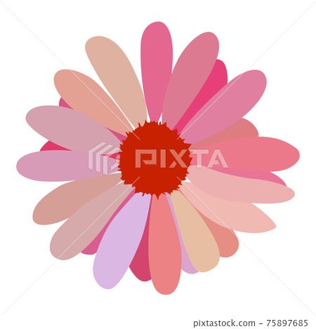 simple flower of blossoming and blooming red chamomile. Vector Illustration simple flower of blossoming and blooming red chamomile. Vector Illustration 75897685