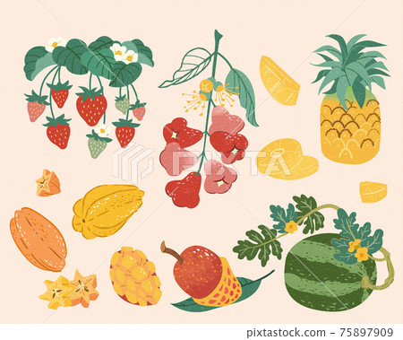 Taiwan doodle fruit collection Taiwan doodle fruit collection 75897909