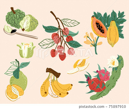 Taiwan doodle fruit collection Taiwan doodle fruit collection 75897910