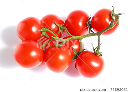Tomato (bunched tomatoes) 75898081