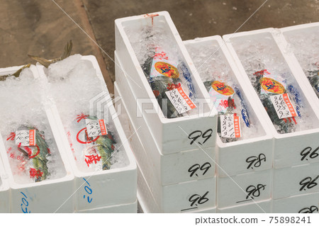 【魚市拍賣鰤魚】 75898241