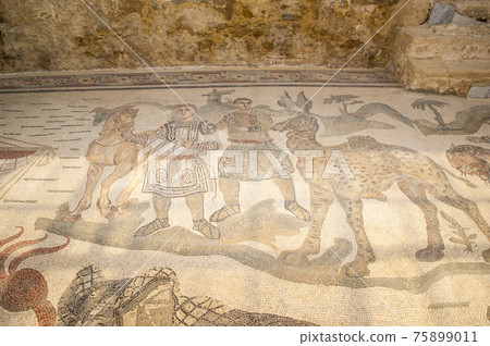 Mosaic fragment Roman Villa Romana del Casale, Sicily, UNESCO World Heritage Site 75899011