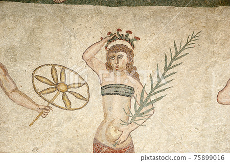 Mosaic fragment Roman Villa Romana del Casale, Sicily, UNESCO World Heritage Site 75899016