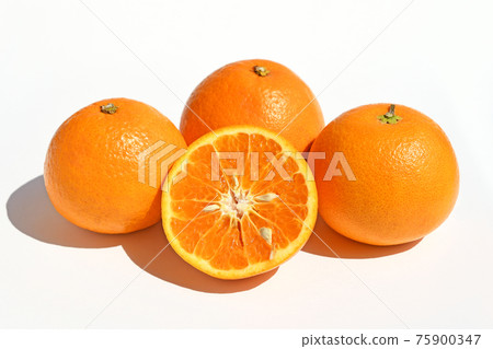 Citrus (Spring Peak) Citrus (Spring Peak) 75900347