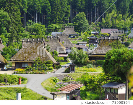 初夏的京都美山茅吹之裡的風景 75900594
