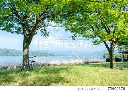 Image of enjoying cycling in a fresh green / early summer park (around Togo Pond) 75900876