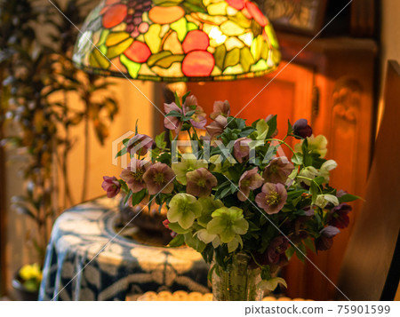 Interior decoration with a bouquet of Christmas roses and a stained glass desk lamp Interior decoration with a bouquet of Christmas roses and a stained glass desk lamp 75901599