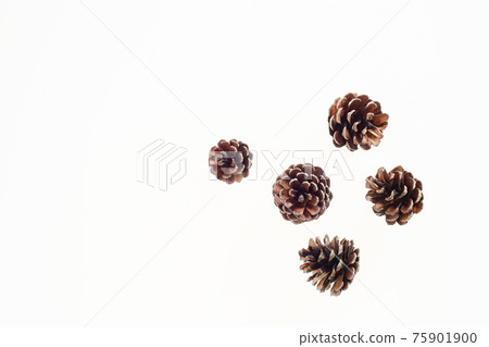 Pinecone background material Pinecone background material 75901900