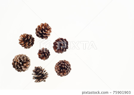 Pinecone background material Pinecone background material 75901903