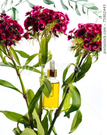 Essential oil Vitamin C serum natural beauty product in glass bottle 75902443