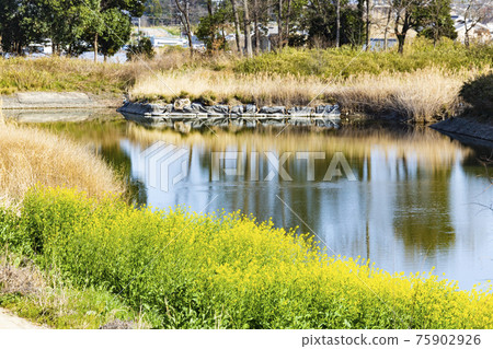 Umami Hills Park Spring 75902926