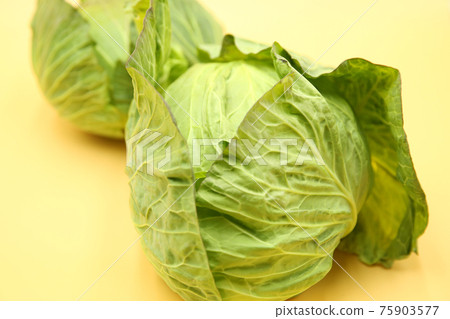 Spring cabbage 75903577