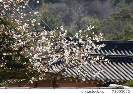 Suwon Hwaseong Palace Suwon Hwaseong Palace 75905000