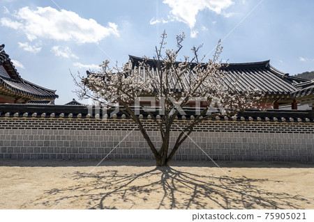 Suwon Hwaseong Palace Suwon Hwaseong Palace 75905021