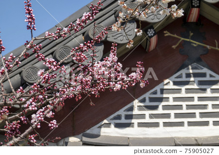 Suwon Hwaseong Palace Suwon Hwaseong Palace 75905027