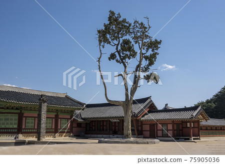 Suwon Hwaseong Palace 75905036