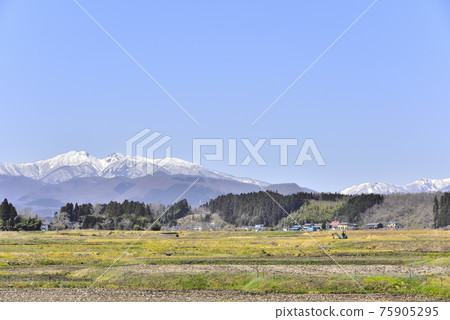 View of Zao in the snow from the countryside of Miyagi and the satoyama waiting for spring 75905295