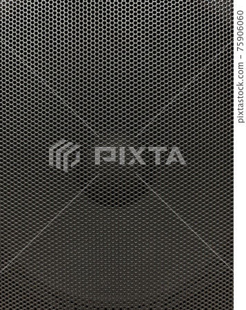 Musical speaker with protective grill 75906060