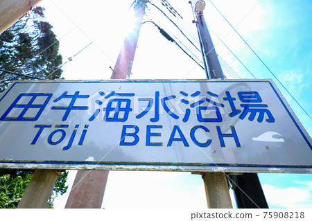 Beef Beach Beef Beach 75908218