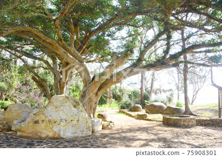 Ridge Prince Beach Seaside Park Shade Stone Monument 75908301