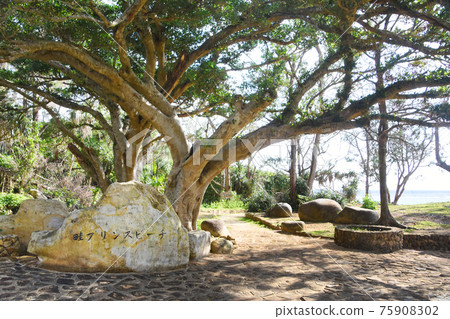 Ridge Prince Beach Seaside Park Shade Stone Monument Ridge Prince Beach Seaside Park Shade Stone Monument 75908302