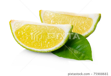 fresh lime with clipping patch fresh lime with clipping patch 75908681