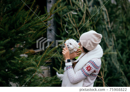 Woman with a white dog in her arms near a green Christmas trees 75908822