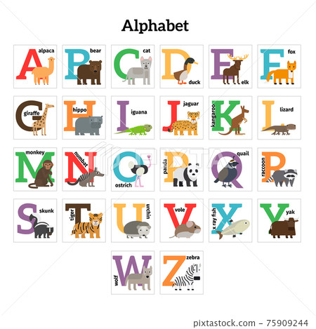 English animals zoo alphabet 75909244