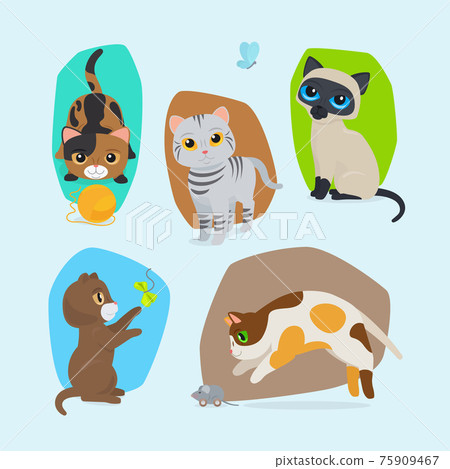 Cute kittens isolated illustration set Cute kittens isolated illustration set 75909467