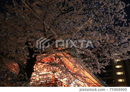 夜櫻與神社 75909900