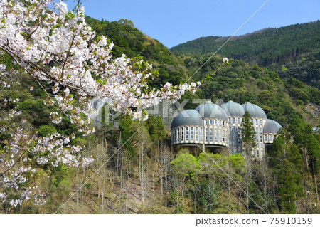 熊本縣球磨村的愛迪生博物館和櫻花 75910159