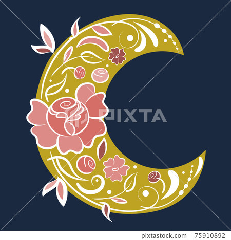 Neo folklore floral art, vector, hand drawn design. Fairy flowers, flourish motif, crescent moon, flat illustration in pink colors palette. 75910892