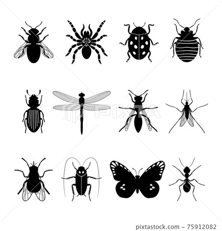 Insects icons 75912082