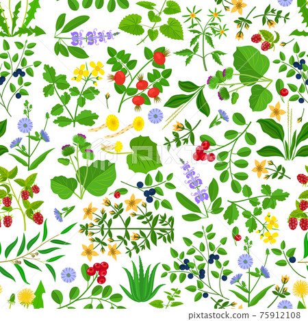 Wild herbs, flowers and berries pattern Wild herbs, flowers and berries pattern 75912108
