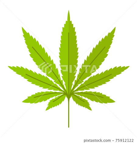 Marijuana leaf icon Marijuana leaf icon 75912122