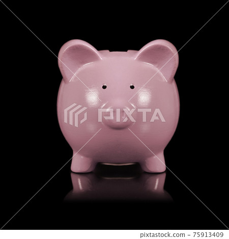 Isolated Pig Bank Isolated Pig Bank 75913409