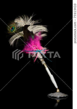 Isolated Feather Pen Isolated Feather Pen 75913410