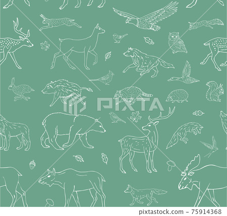 Vector seamless pattern of wild forest animals 75914368