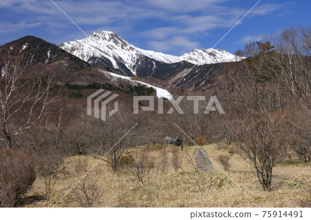 從山梨縣北斗市清里高原美麗的森林中,可以看到八嶽山和橫嶽山的殘雪 從山梨縣北斗市清里高原美麗的森林中,可以看到八嶽山和橫嶽山的殘雪 75914491