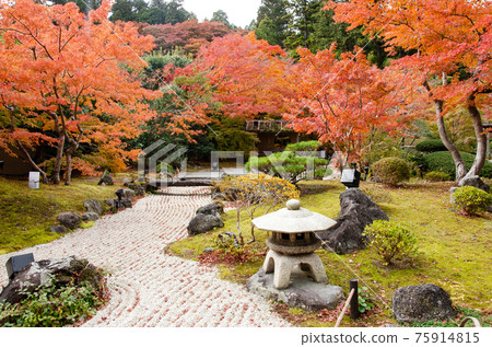 Autumn Entsuin Garden 75914815