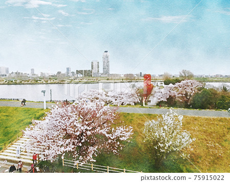 荒川銀行的櫻花 75915022