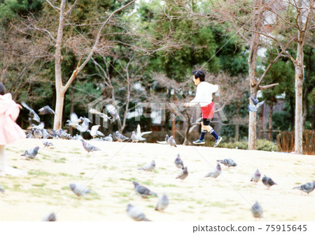 平成181 平成181 75915645