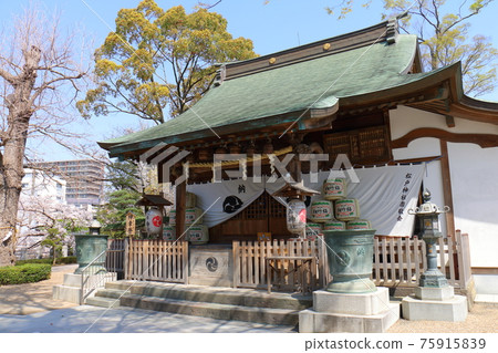 Matsudo Shrine and Sakura in full bloom in Matsudo, Matsudo City, Chiba Prefecture Matsudo Shrine and Sakura in full bloom in Matsudo, Matsudo City, Chiba Prefecture 75915839